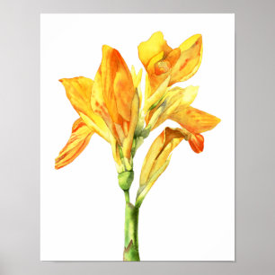 Affiche Peinture jaune d'aquarelle de fleur, beaux-arts