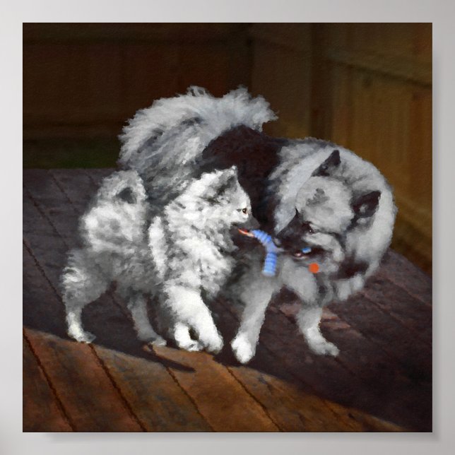 Affiche Peinture Keeshond Playtime - Jolie art original ch (Devant)