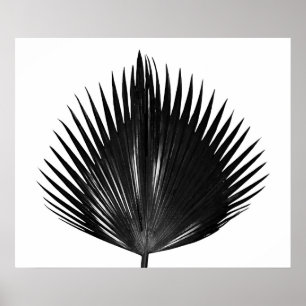 Affiche Peinture noire Plante de feuille de palme
