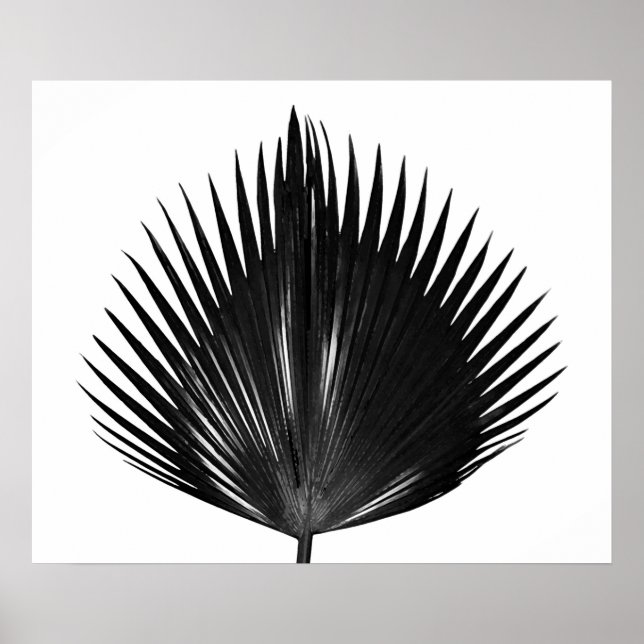 Affiche Peinture noire Plante de feuille de palme (Devant)