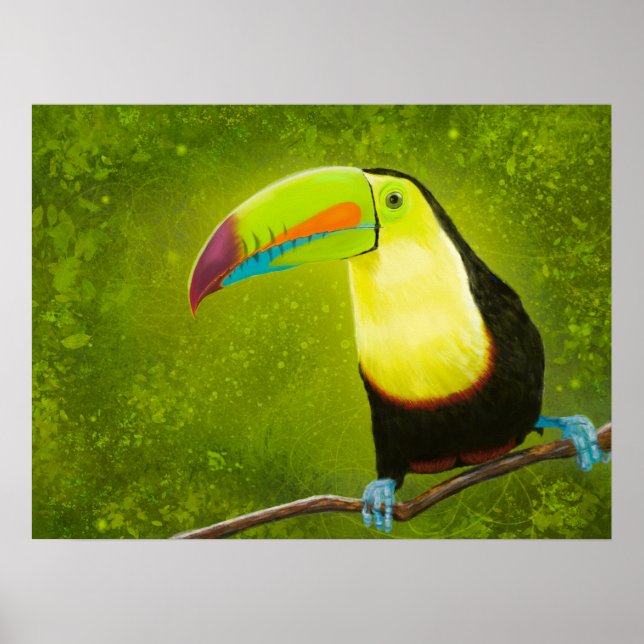 Affiche Peinture numérique Jungle tropicale Toucan Bird (Devant)