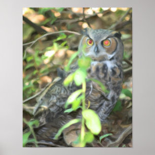 Affiche Peinture photo à l'huile de Chouette à grande corn