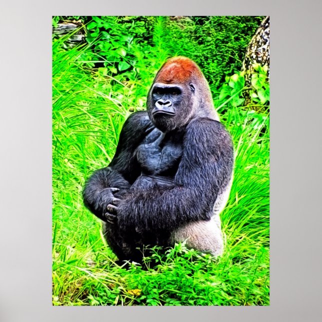 Affiche Peinture photo de Gorilla Silverback (Devant)