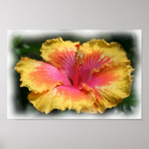 Affiche Peinture photo de l'Hibiscus rouge jaune