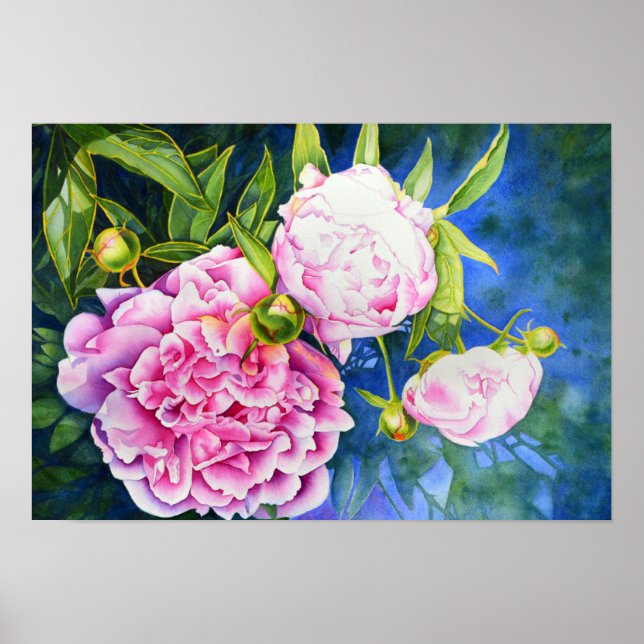 Affiche Peinture rose blanc | romantique floral (Devant)