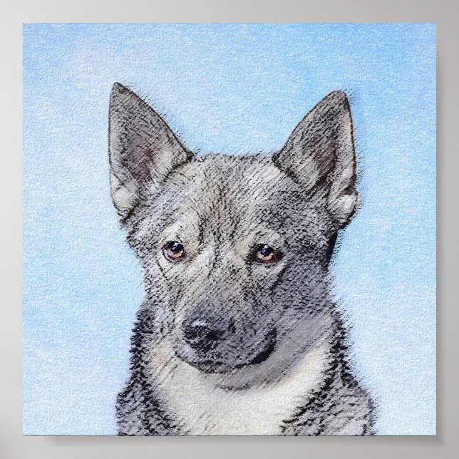 Affiche Peinture Suédoise Vallhund - Cute Original Chien A (Devant)