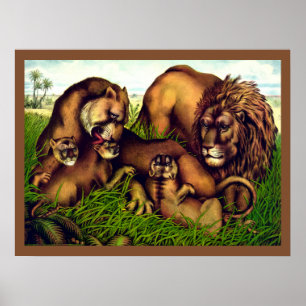 Affiche Peinture vintage d'une famille de lions