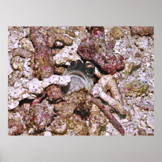 Affiche Pékin (Devant)