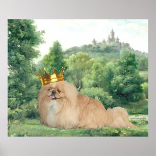 Affiche Pekingese King