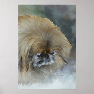 Affiche Pekingese pensif