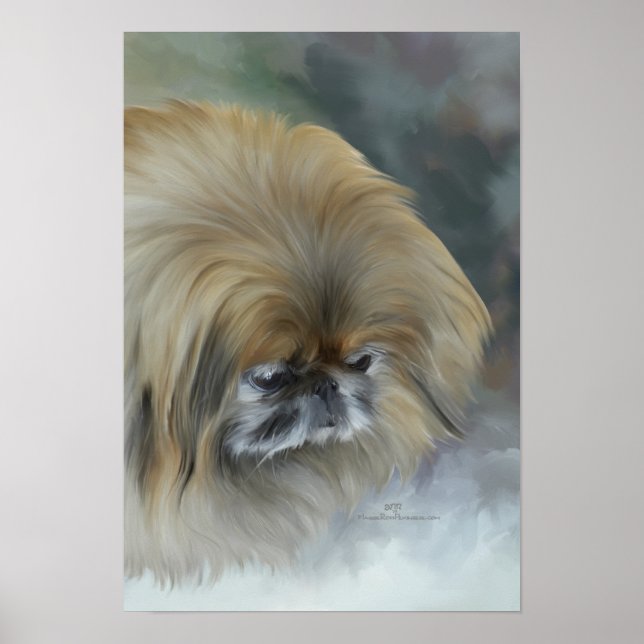Affiche Pekingese pensif (Devant)