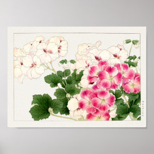 Affiche Pelargonium par Tanigami Konan