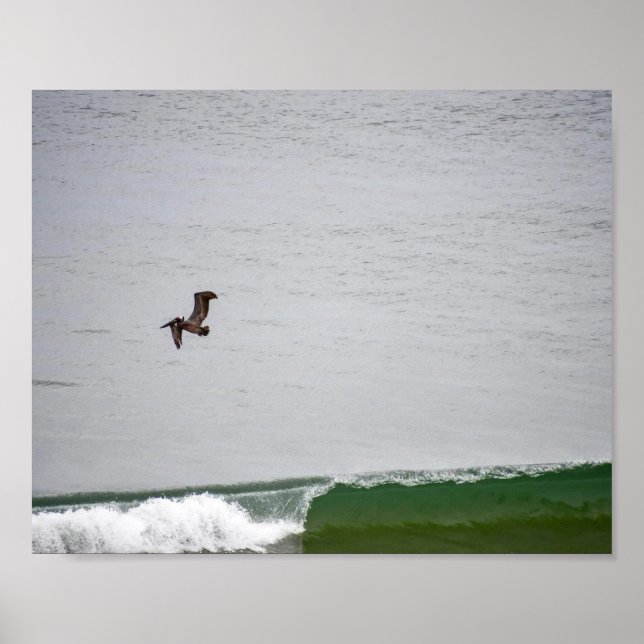 Affiche Pélican au-dessus de la vague (Devant)
