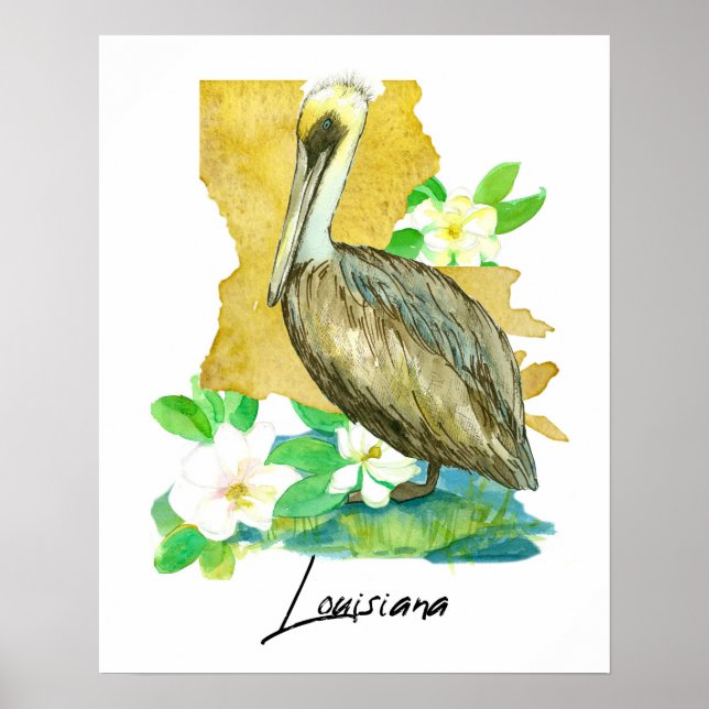 Affiche Pélican de Louisiane Forme de l'État Fleur de Magn (Devant)