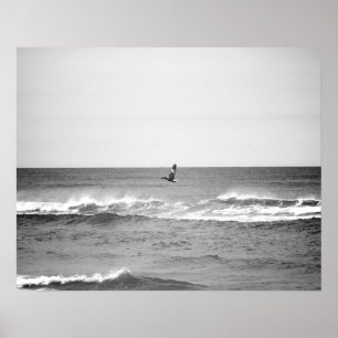 Affiche Pélican noir et blanc survolant l'océan 16x20