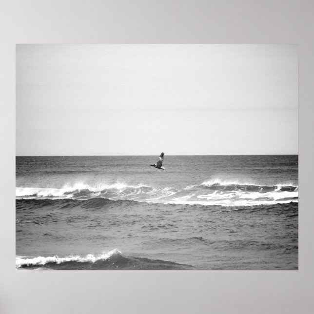 Affiche Pélican noir et blanc survolant l'océan 16x20 (Devant)