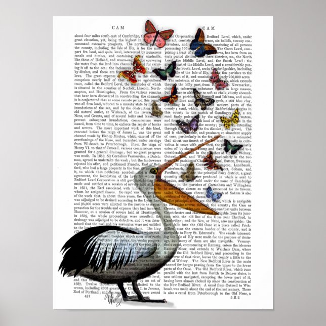 Affiche Pelican & Papillons (Devant)