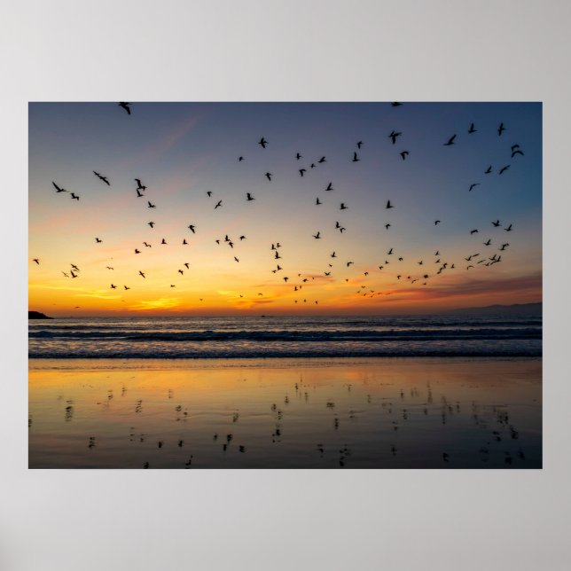 Affiche Pélicans au coucher du soleil - Venice Beach, CA (Devant)