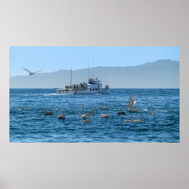 Affiche Pélicans Basking & Bateau - Marina Del Rey, CA (Devant)