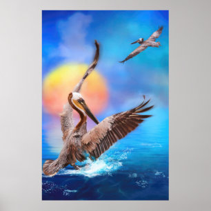Affiche Pélicans Brown SOLEIL ISLAND KISSEE