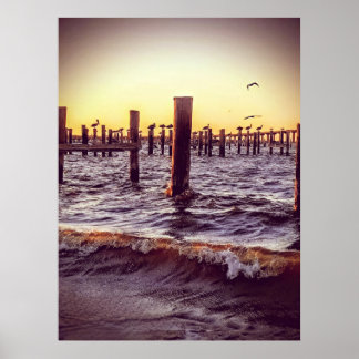 Affiche Pélicans dans la baie