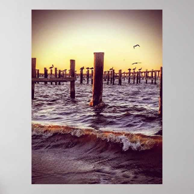 Affiche Pélicans dans la baie (Devant)