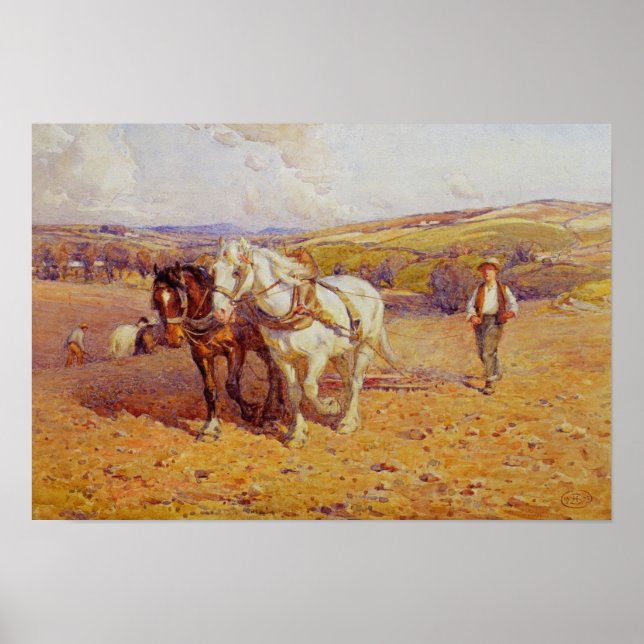 Affiche Pellage (Devant)