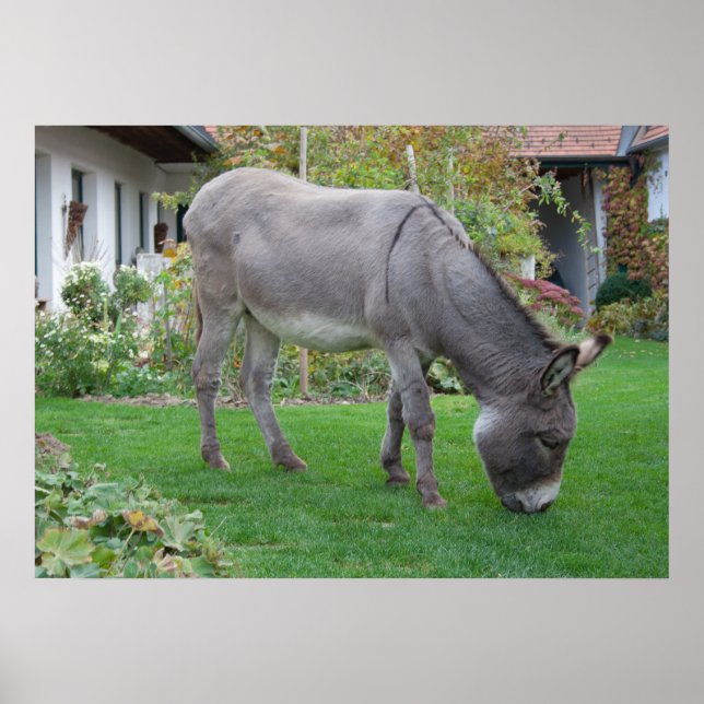 Affiche Pelouse Biologique Sur Quatre Trous (Devant)