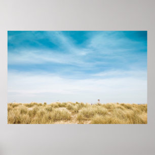 Affiche Pelouse verte sous ciel bleu