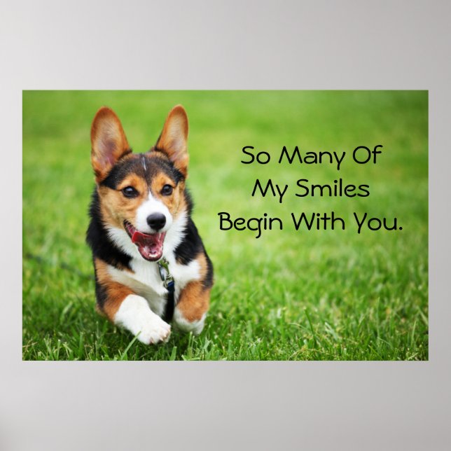 Affiche Pembroke Welsh Corgi Puppy Joyeux Et Énergétique (Devant)