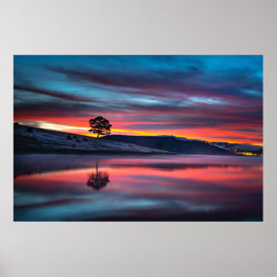 Affiche Pendant L'Heure D'Or, Un Arbre Reflète Sur Un Corp