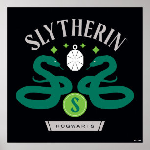Affiche Pendentif double serpent de la maison SLYTHERIN™ G