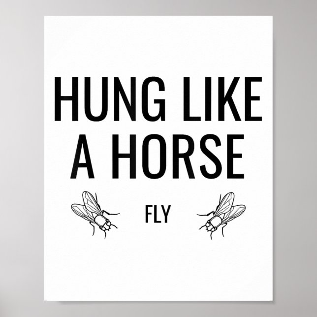 Affiche Pendou comme une mouche à cheval - Drôle de mouche (Devant)