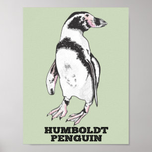 Affiche Penguin de Humboldt