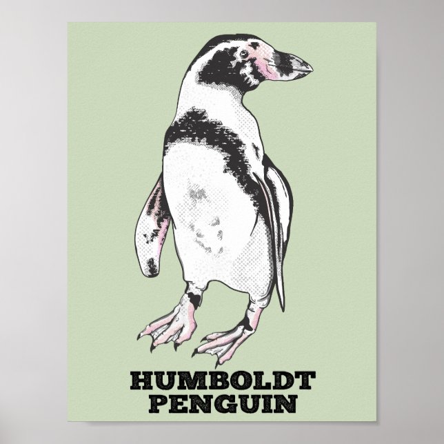 Affiche Penguin de Humboldt (Devant)