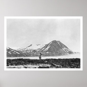 Affiche Péninsule Alaska 1912 de Kenai de moutons