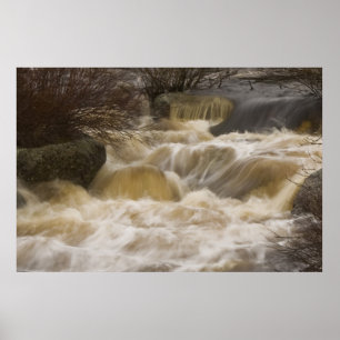 Affiche Pennant Brook