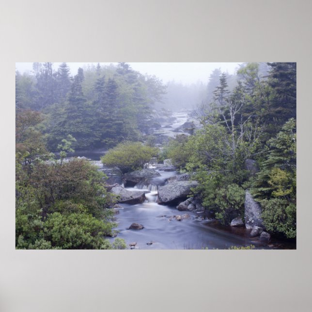 Affiche Pennant Brook In the Fog fine art print (Devant)