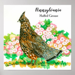 Affiche Pennsylvanie Ruffed Grouse Mountain Laurel