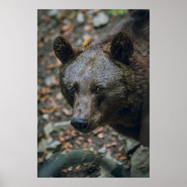 AFFICHE PENSÉES BÊTIÈRES (Devant)