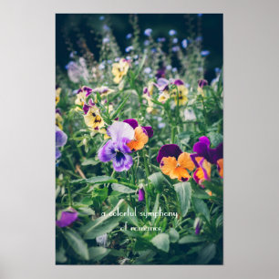 Affiche Pensées colorées dans un jardin de campagne en été