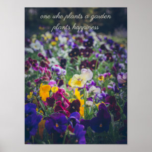 Affiche Pensées colorées en fleurs dans le jardin campagna