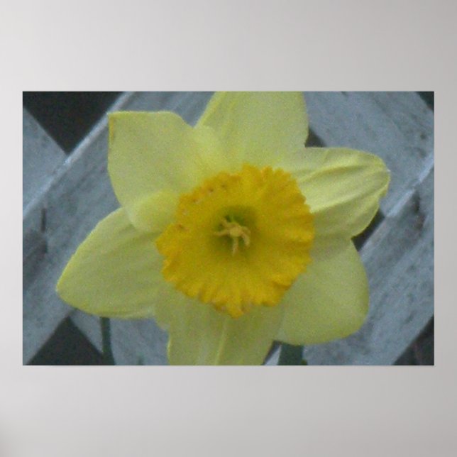 Affiche Pensez au printemps ! (Devant)