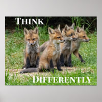 Pensez différemment Renard