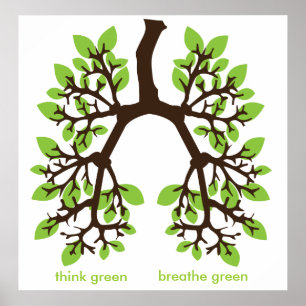 Affiche pensez le vert, respirez le vert