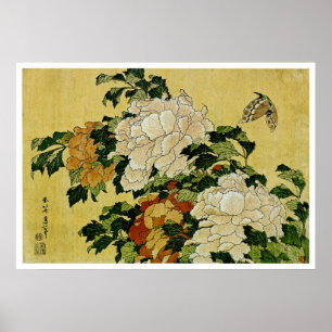 Affiche Peonies et papillon