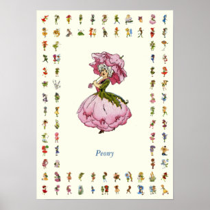 Affiche Peony