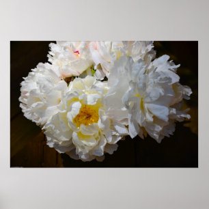 Affiche Peony,