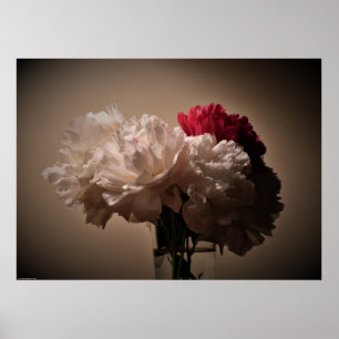 Affiche Peony,