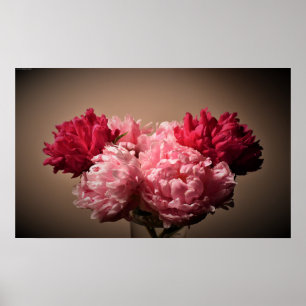 Affiche Peony,